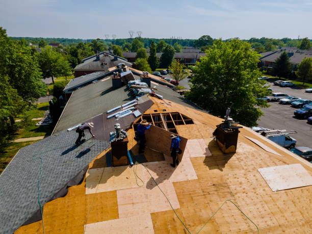 Roof Repair Estimates in Woodbury, MN